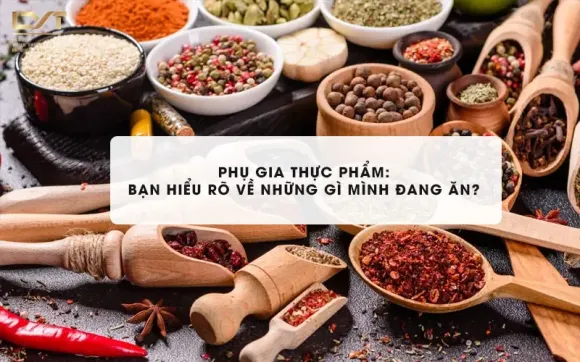  Phụ Gia Thực Phẩm,Định Nghĩa, Phân Loại và Chức Năng Của Phụ Gia Thực Phẩm
